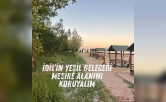 İdil’in doğal miras alanı: Mesire alanına sahip çıkalım