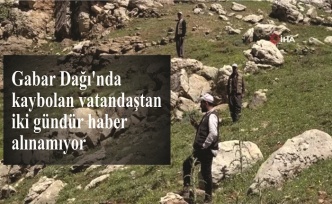 Gabar Dağı'nda kaybolan vatandaştan iki gündür haber alınamıyor