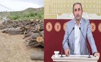 HÜDAPAR Milletvekilinden Şırnak’taki orman kesimine tepki