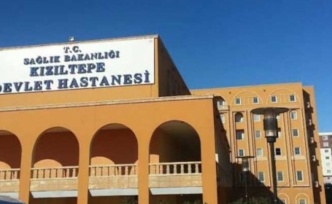 Aynı aileden 3 kişi başından silahla vurulmuş halde ölü bulundu