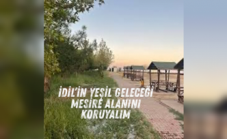 İdil’in doğal miras alanı: Mesire alanına sahip çıkalım