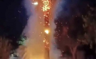 Palmiye Ağacını ateşe verdiler