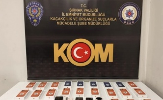 Şırnak’ta operasyon 49 kişiye gözaltı