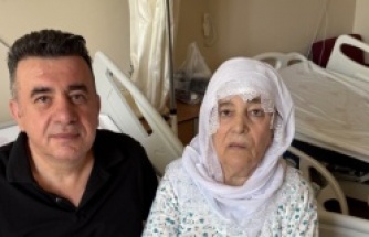 Akçam ailesi