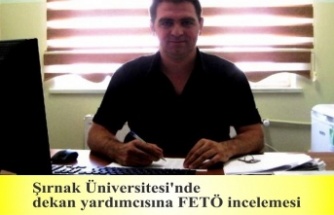 Şırnak Üniversitesi'nde dekan yardımcısına FETÖ incelemesi