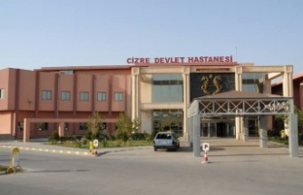 6 Çocuk Annesi Kocası tarafından öldürüldü