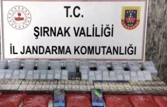 Şırnak’ta operasyon 22 kişi gözaltına alındı