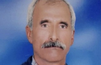 Peçenek Köyü Sakinlerinde Arslan hayatını kaybetti