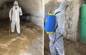 Şırnak’ta şap hastalığı tespit edildi