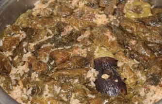 Aşçılık Kursunda dolma yemeği öğreniliyor