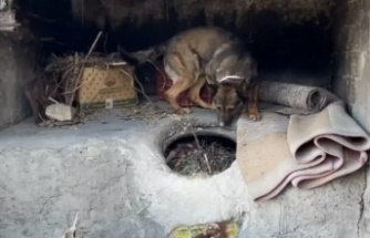 Evin tandırında uyuşturu yakalandı