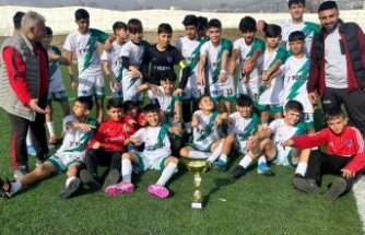 Cizre Dicle Spor prefosyonel gelişim liginde mücadele edecek