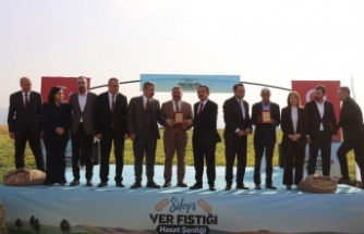 Sılopi’de yerfıstığı hasadı yapıldı