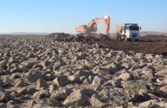 İdil Kırsalında bulunan taşlar temizleniyor
