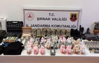 Şırnak’ta operasyon 117 kişiye gözaltı