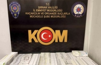 Şırnak’ta operasyon 48 gözaltı 3 tutuklama