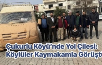 Çukurlu Köyü Sakinlerinden Yol Talebi