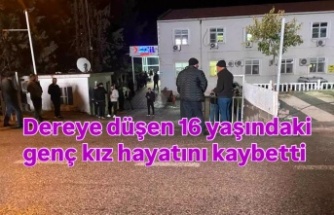 Dereye düşen genç kız hayatını kaybetti