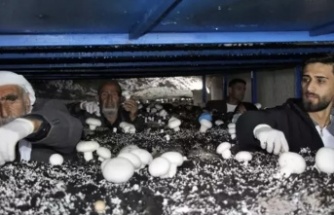 İdil’de Girişimcilik Örneği: Tarihi Mağarada Üretim