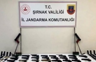 Şırnak’ta operasyon 14 tutuklama