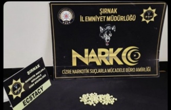 Cizre’de uyuşturucu operasyonu