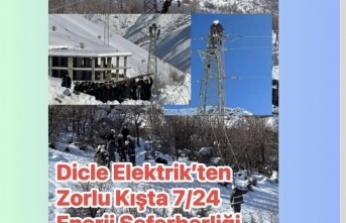 Dicle Elektrik Ekipleri Kış Şartlarına Meydan Okudu