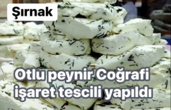 Otlu Peyniri Coğrafi işaret tescillendi