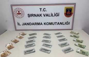 Şırnak’ta operasyon 103 gözaltı