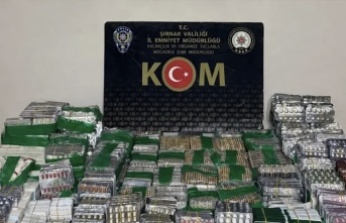 Şırnak’ta operasyon 4 Tutuklama