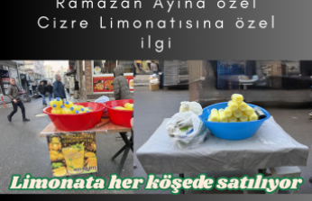 Cizre’nin Geleneksel Tatları İlgi Görüyor