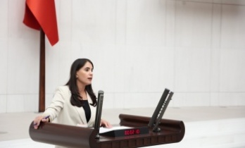 Milletvekili Aslan’dan Meclis’e “ Zorla Kaybetmeler” önerisi