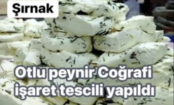 Otlu Peyniri Coğrafi işaret tescillendi
