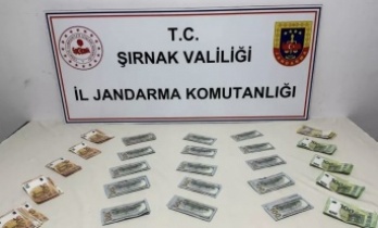 Şırnak’ta operasyon 103 gözaltı