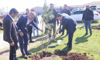 Dirsekli Ortaokulunda Fidan dikimi etkinliği