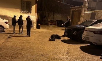 Silahlı Saldırı düzenleyen şüpheli yakalandı