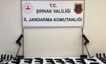 Şırnak’ta operasyon 14 tutuklama