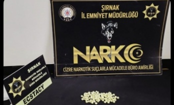 Cizre’de uyuşturucu operasyonu