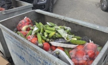 Çöpte Gıda toplayan vatandaş yürek burktu