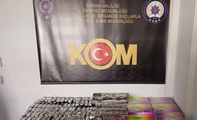 Şırnak’ta operasyon 1 tutuklama
