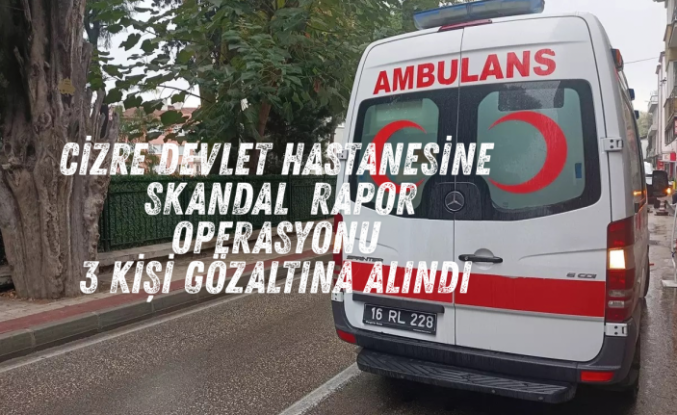 Cizre’de usulsüz rapor operasyonu