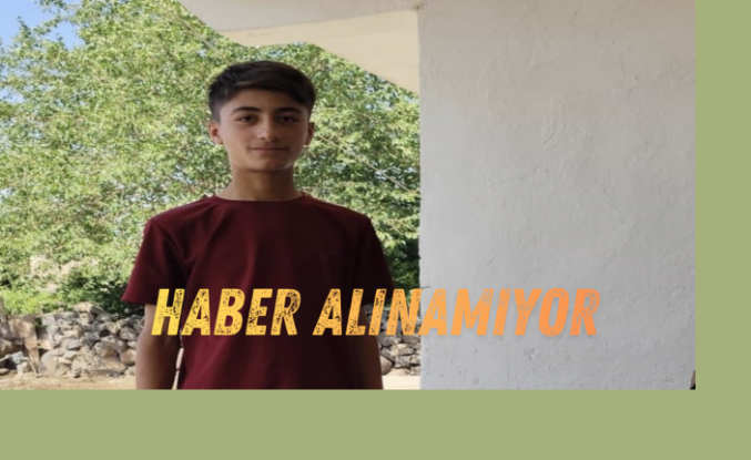 İdil’i gençten haber alınamıyor