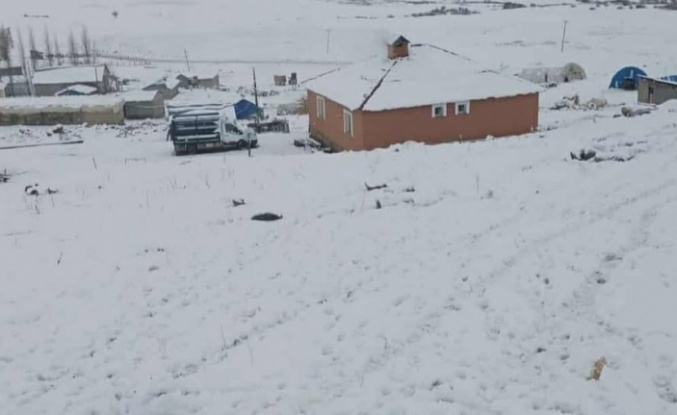 Şırnak’ta yılın ilk karı yağdı