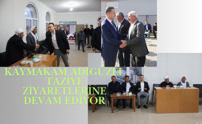 İdil Kaymakamı Adıgüzel, Taziye Evlerinde Ailelerin Acısını Paylaştı