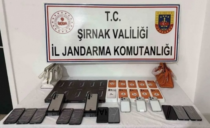 Şırnak’ta operasyon 65 kişi gözaltına alındı