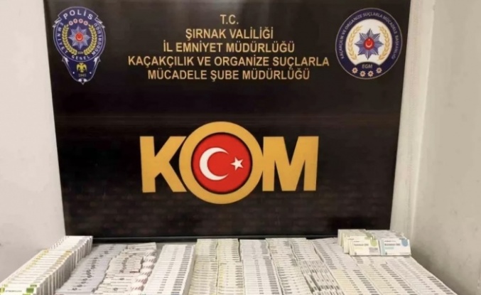 Şırnak’ta operasyon 48 gözaltı 3 tutuklama