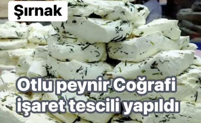 Otlu Peyniri Coğrafi işaret tescillendi
