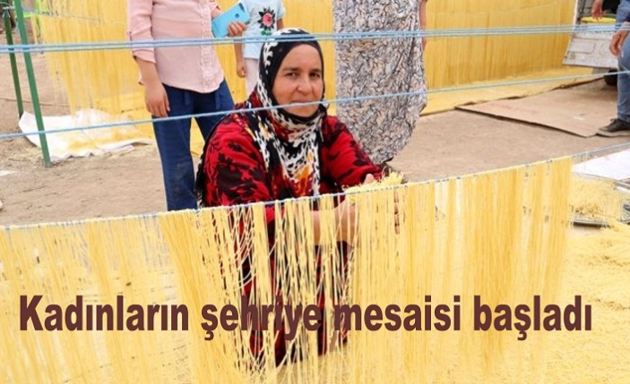 Kadınların şehriye mesaisi başladı