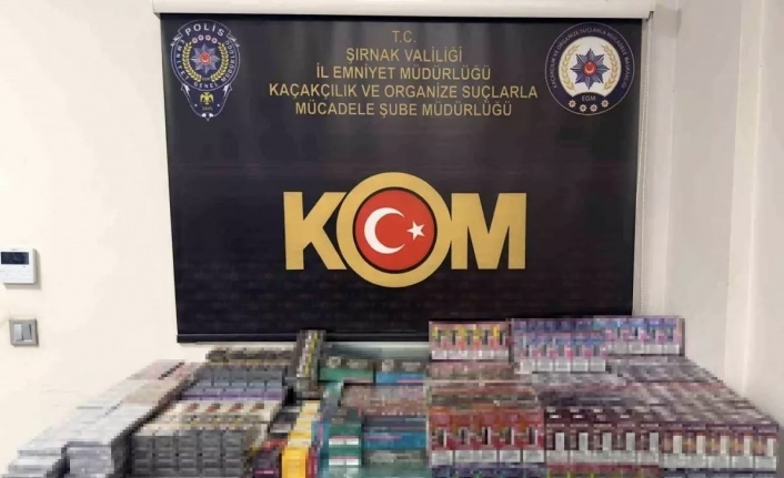 Şırnak’ta operasyon 30 gözaltı