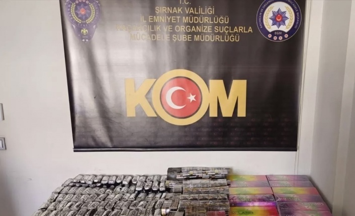Şırnak’ta operasyon 1 tutuklama