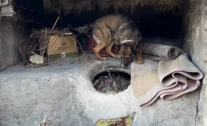 Evin tandırında uyuşturu yakalandı